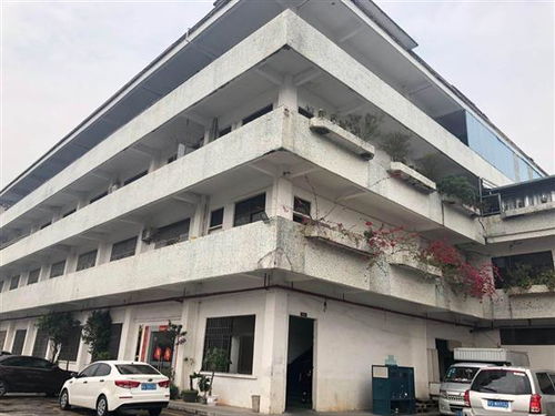 賓陽縣鋼結(jié)構(gòu)廠房質(zhì)量驗(yàn)廠安全檢測(cè) 專業(yè)資質(zhì)公司服務(wù)要點(diǎn)與風(fēng)險(xiǎn)提示